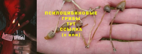 ГАЛЛЮЦИНОГЕННЫЕ ГРИБЫ Абинск
